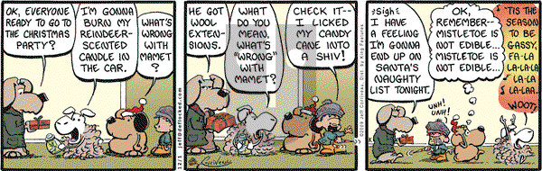 DeFlocked on Tuesday December 1, 2009 Comic Strip