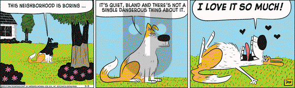 Rip Haywire on Monday May 8, 2017 Comic Strip