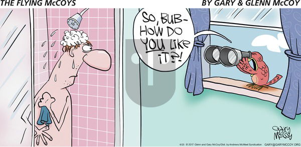 The Flying McCoys on Sunday June 25, 2017 Comic Strip