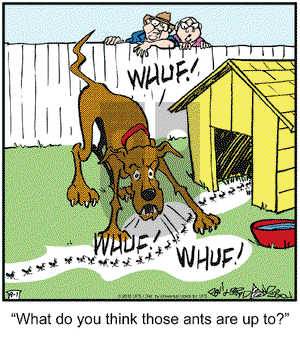 Marmaduke on Saturday September 1, 2012 Comic Strip