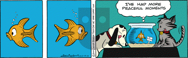 Nancy on Thursday October 7, 2010 Comic Strip
