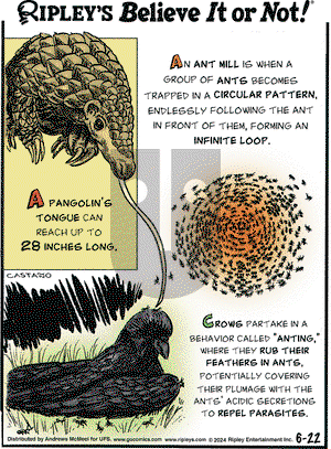 Ripley's Believe It or Not - Saturday June 22, 2024 Comic Strip
