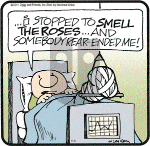Ziggy on Saturday November 5, 2011 Comic Strip