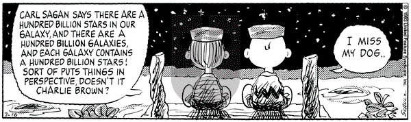 Peanuts - Friday July 16, 1993 Comic Strip