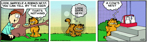 Garfield on Friday January 22, 1982 Comic Strip