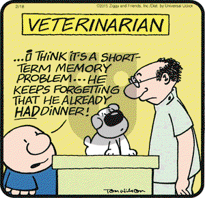Ziggy on Wednesday February 18, 2015 Comic Strip