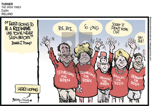 Views of the World on Monday October 26, 2020 Comic Strip