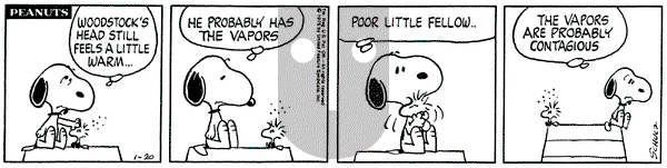 Peanuts on Tuesday January 20, 1976 Comic Strip