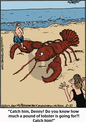 Close to Home on Tuesday February 21, 2017 Comic Strip