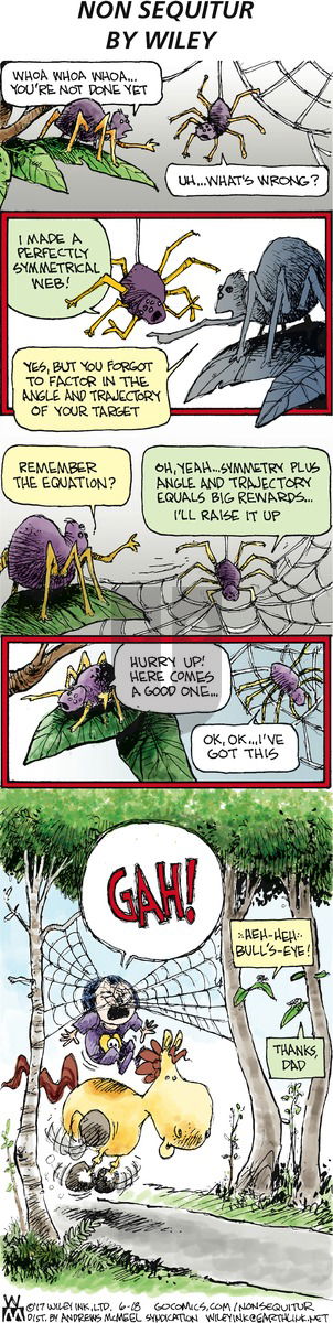 Non Sequitur on Sunday June 18, 2017 Comic Strip