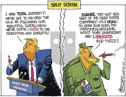 Stuart Carlson on Friday April 24, 2020 Comic Strip