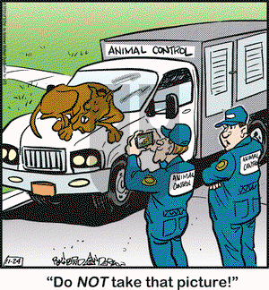 Marmaduke on Saturday November 24, 2018 Comic Strip