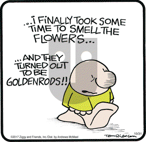 Ziggy on Tuesday October 31, 2017 Comic Strip
