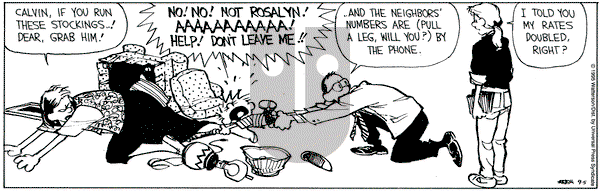 Calvin and Hobbes on Tuesday September 5, 1995 Comic Strip