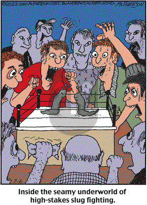 Close to Home - Wednesday July 6, 2022 Comic Strip