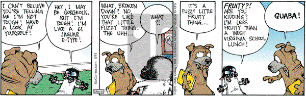 Get Fuzzy on Wednesday May 14, 2025 Comic Strip