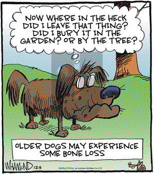 Reality Check on Friday December 5, 2025 Comic Strip