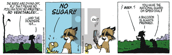 Over the Hedge on Tuesday May 8, 2007 Comic Strip