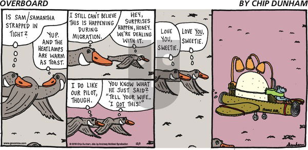 Overboard on Sunday December 1, 2019 Comic Strip