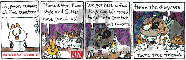 Breaking Cat News on Friday November 7, 2025 Comic Strip