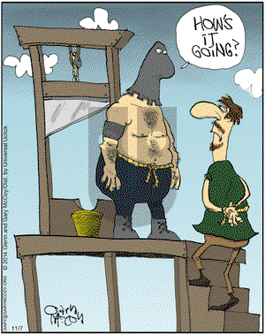 The Flying McCoys on Friday November 7, 2014 Comic Strip