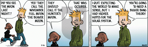 Frazz - Saturday November 16, 2024 Comic Strip