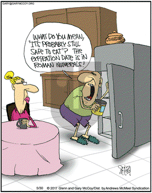 The Flying McCoys on Tuesday May 30, 2017 Comic Strip