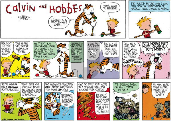 Calvin and Hobbes on Sunday June 7, 1987 Comic Strip