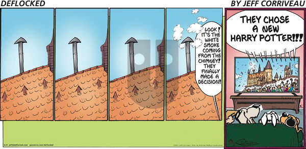DeFlocked on Sunday June 8, 2025 Comic Strip