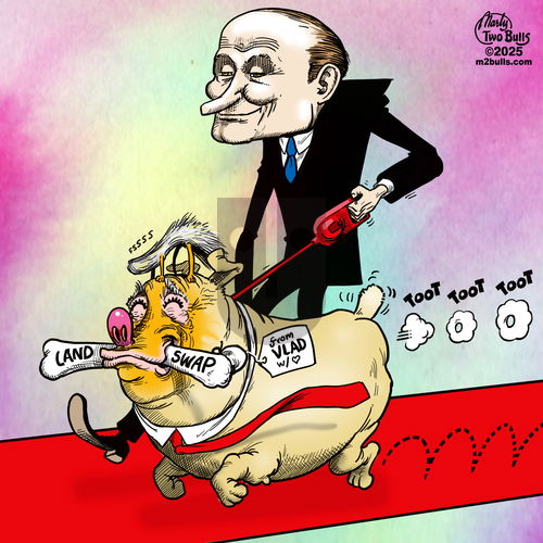 M2Bulls on Wednesday August 20, 2025 Comic Strip