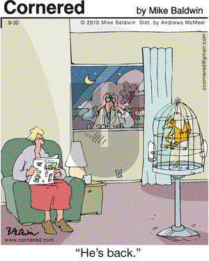 Cornered on Thursday August 30, 2018 Comic Strip