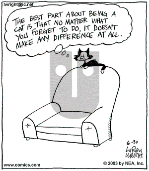 Kit 'N' Carlyle on Monday June 30, 2003 Comic Strip