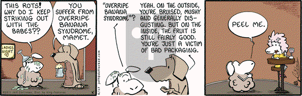 DeFlocked on Friday June 17, 2011 Comic Strip