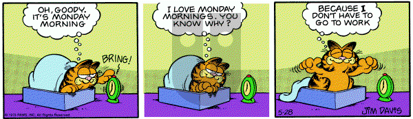 Garfield on Monday May 28, 1979 Comic Strip