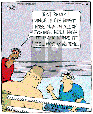 In the Bleachers on Monday August 11, 2008 Comic Strip