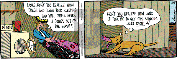 Overboard on Wednesday March 17, 2004 Comic Strip