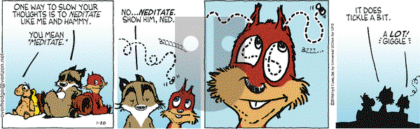 Over the Hedge on Thursday January 28, 2016 Comic Strip