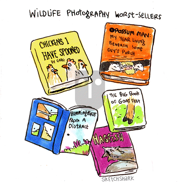 Sketchshark Comics on Monday June 10, 2019 Comic Strip