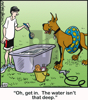 Marmaduke on Wednesday June 20, 2018 Comic Strip