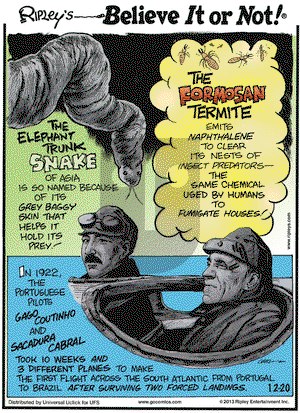 Ripley's Believe It or Not on Friday December 20, 2013 Comic Strip