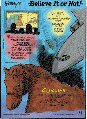 Ripley's Believe It or Not on Saturday July 1, 2017 Comic Strip