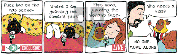 Breaking Cat News on Tuesday May 9, 2017 Comic Strip