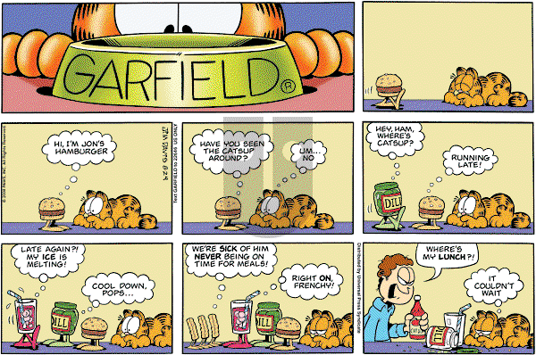 Garfield on Sunday August 24, 2008 Comic Strip