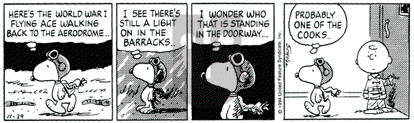 Peanuts on Tuesday November 29, 1994 Comic Strip