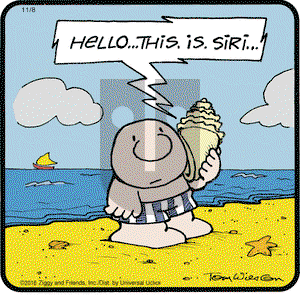 Ziggy on Tuesday November 8, 2016 Comic Strip