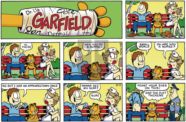 Garfield on Sunday August 13, 1995 Comic Strip