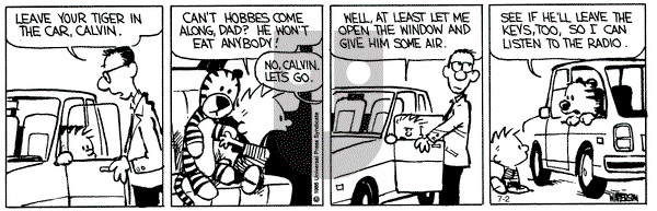 Calvin and Hobbes on Tuesday July 2, 1991 Comic Strip