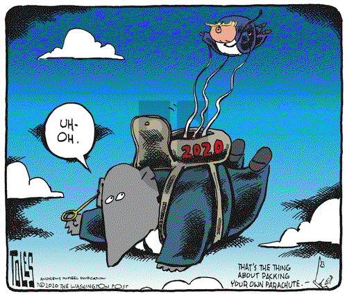 Tom Toles on Thursday July 30, 2020 Comic Strip