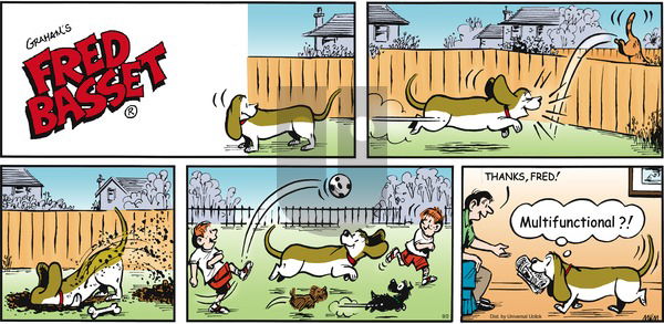 Fred Basset on Sunday September 2, 2012 Comic Strip