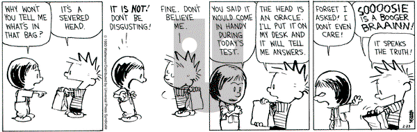 Calvin and Hobbes on Tuesday February 23, 1993 Comic Strip